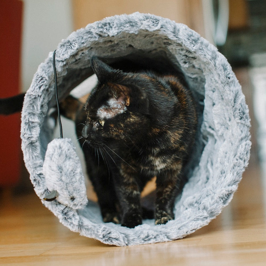 Purr & Pounce Cat Tunnel
