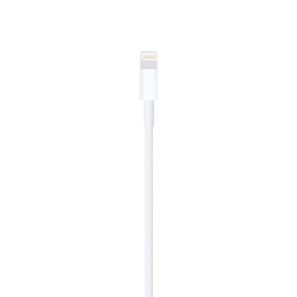 Apple Lightning to USB Cable (1 m)