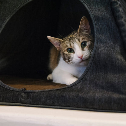 Pet Teepee Tent Classic