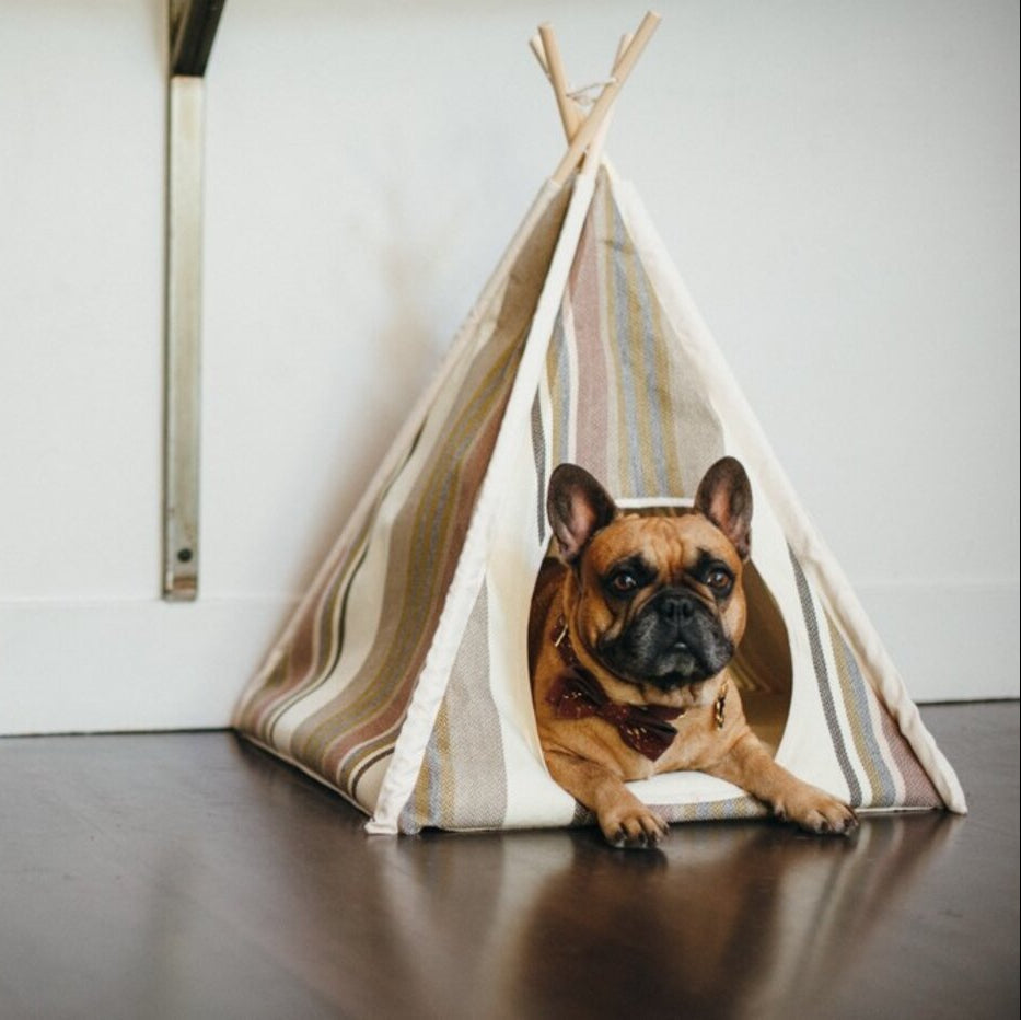 Horizon Pet Teepee Tent