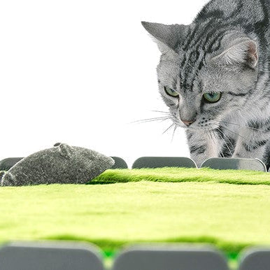 Peek-a-boo Mouse Interactive Cat Toy
