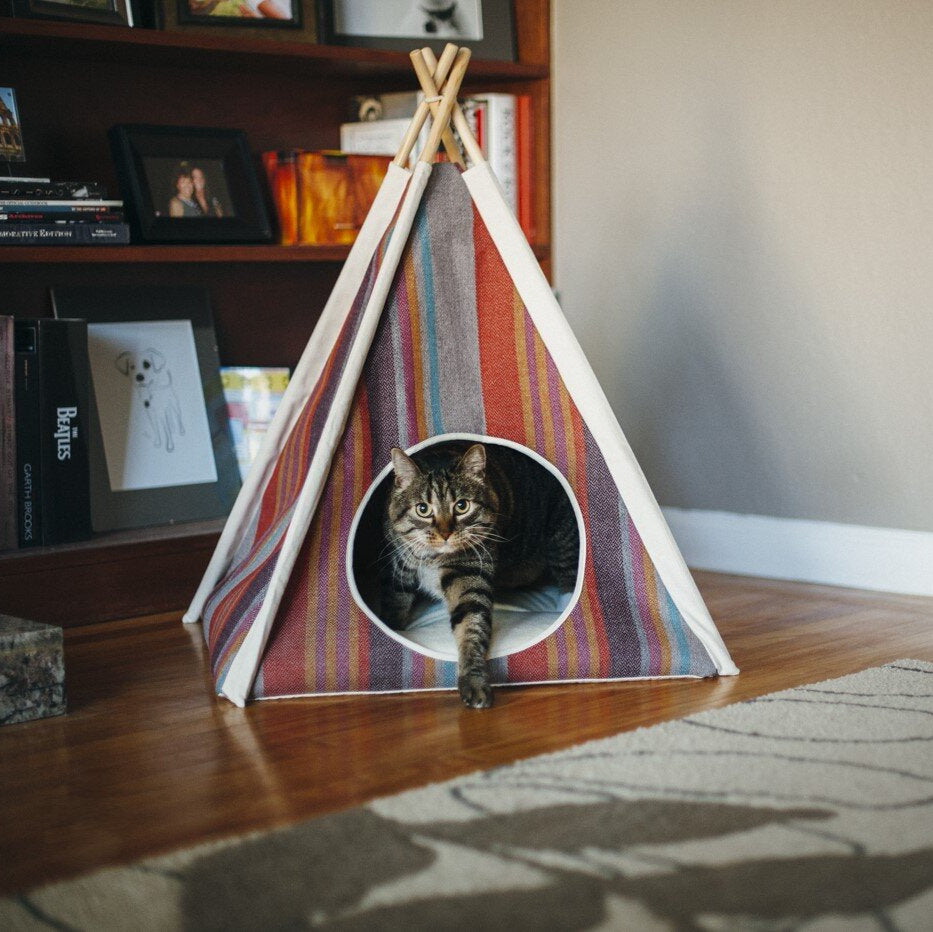 Horizon Pet Teepee Tent